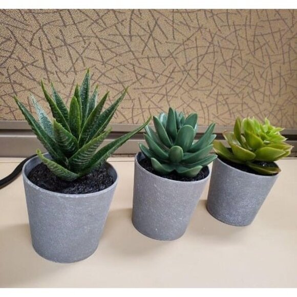 New Artificial Succulents Set of 3 Mini Realistic Fake Plants with Plastic Pots - Picture 2 of 2
